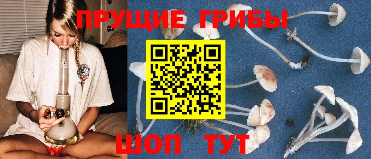 Псилоцибиновые грибы GOLDEN TEACHER  Вход с VPN  Ачинск 